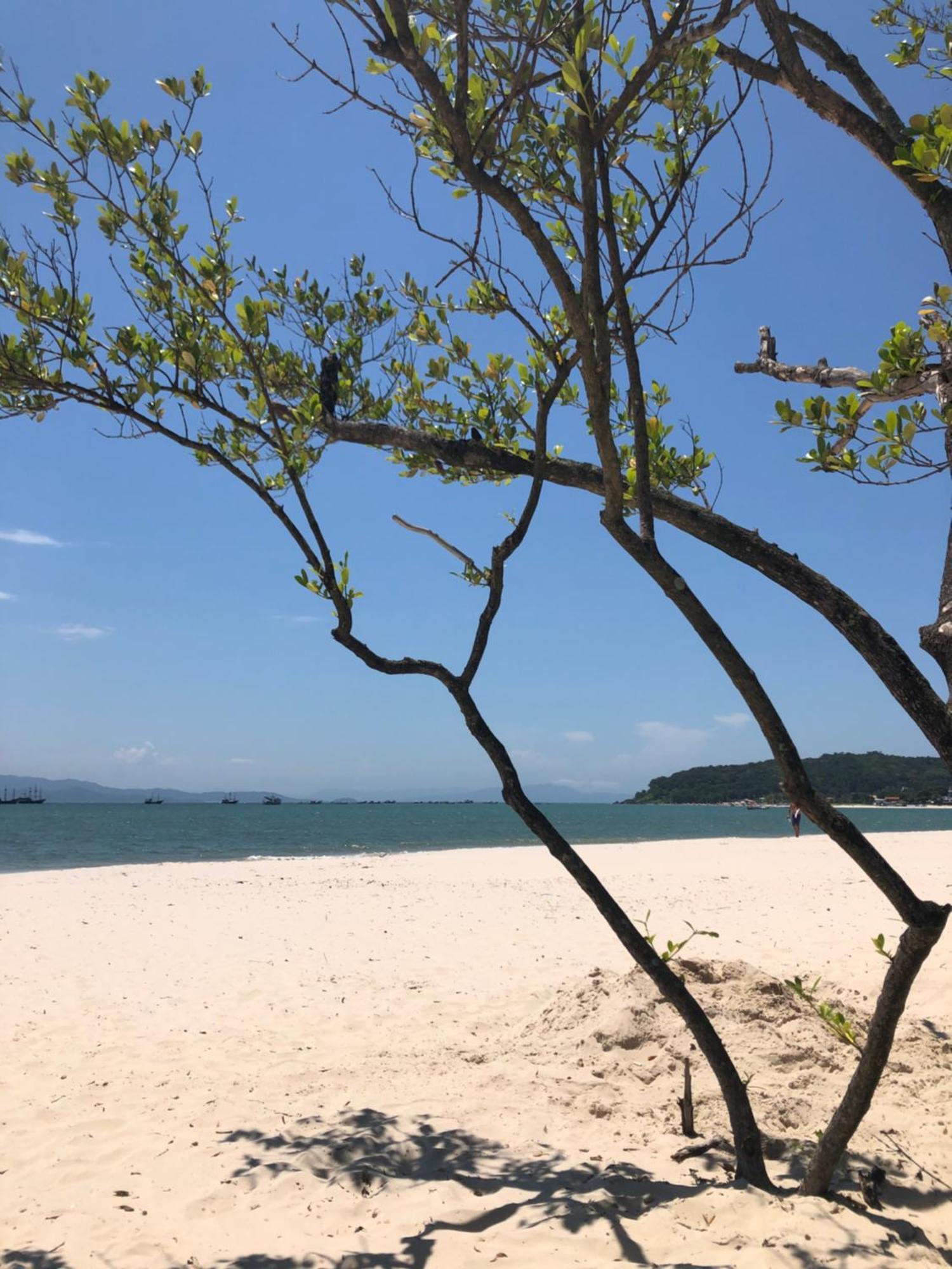 Ap Amplo Com Vista Para Mar Com 3 Suites Florianopolis Exterior foto